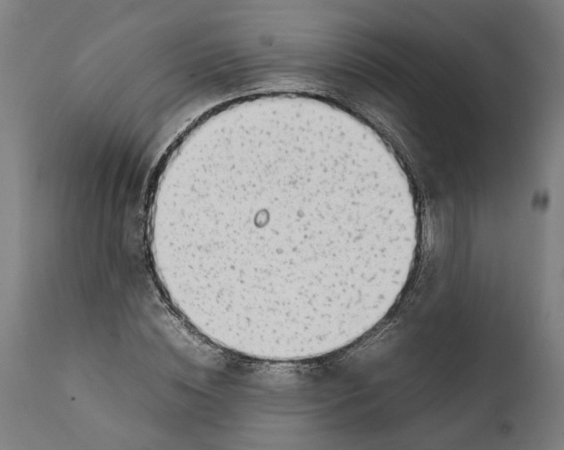 X0000111140828200907211137