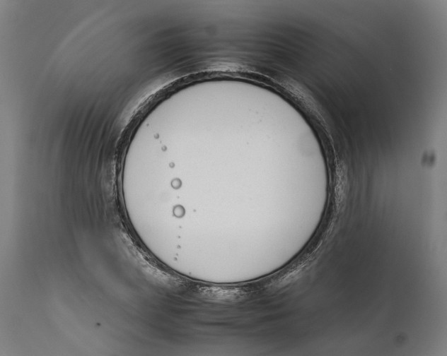 X0000111140831200907211137