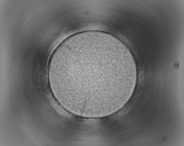 X0000111140836200907211137