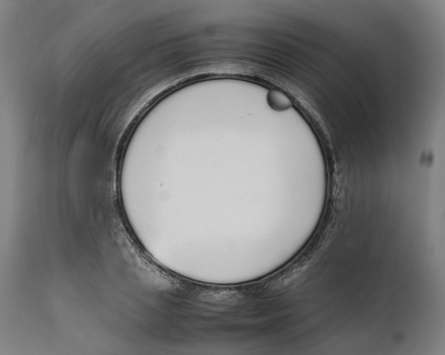 X0000111140837200907211137