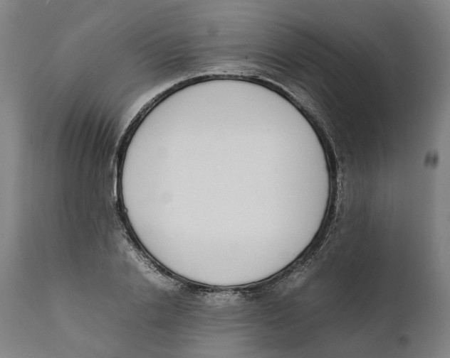 X0000111140838200907211137