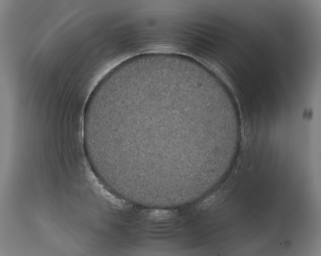 X0000111140839200907211137