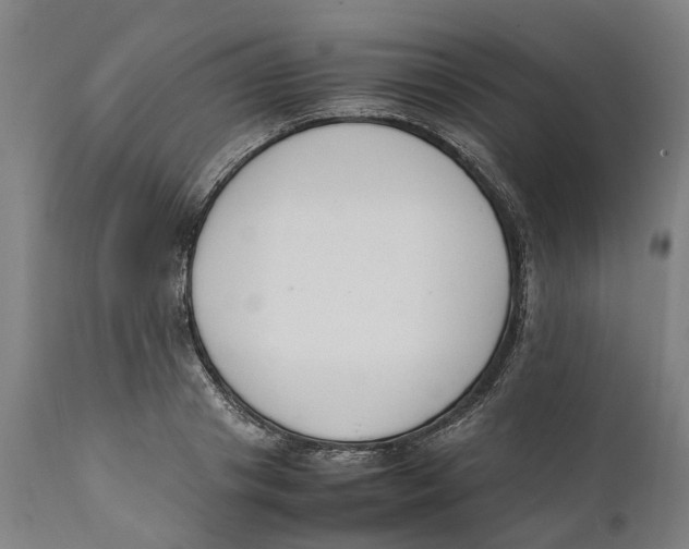 X0000111140841200907211137