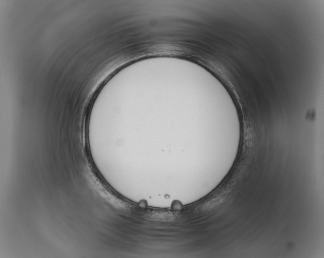 X0000111140843200907211137