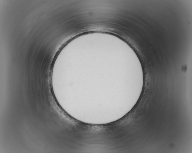 X0000111140848200907211137