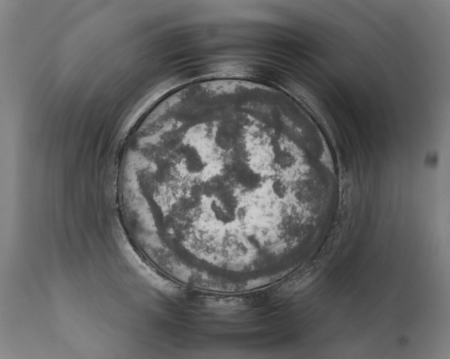 X0000111140851200907211137