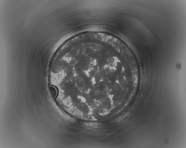 X0000111140853200907211137