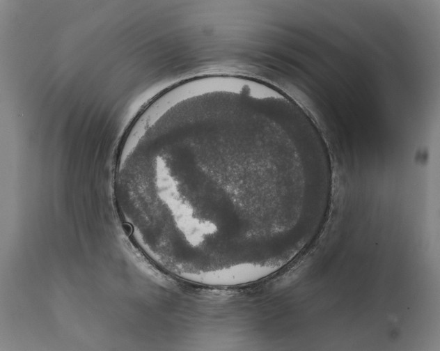 X0000111140854200907211137