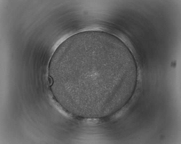 X0000111140858200907211137