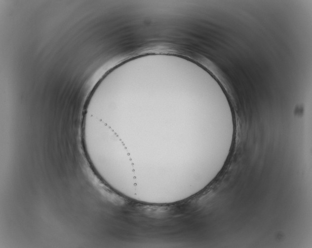 X0000111140861200907211137