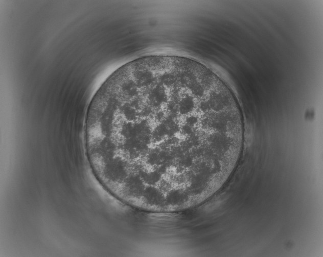 X0000111140863200907211137