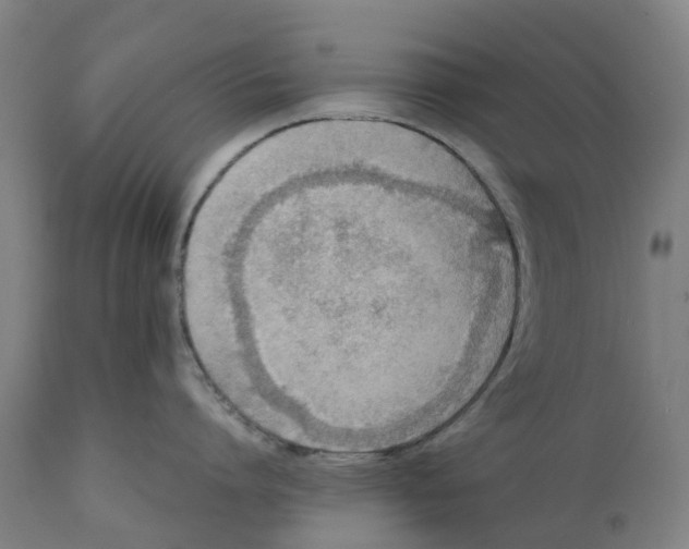 X0000111140864200907211137