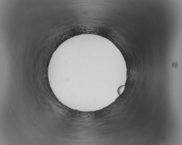 X0000111140865200907211136