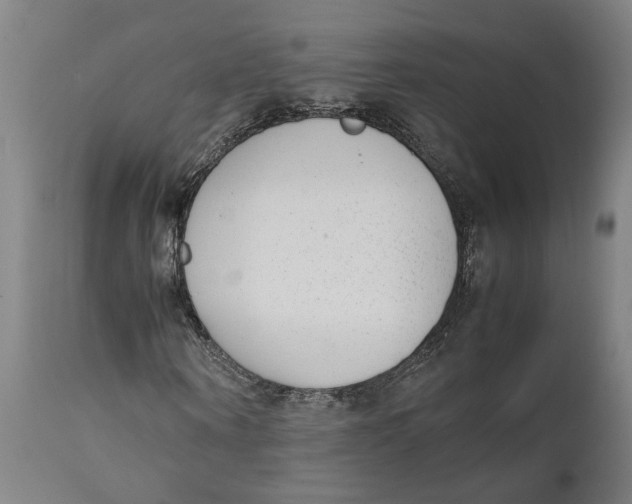 X0000111140866200907211136