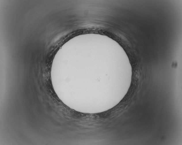 X0000111140869200907211136