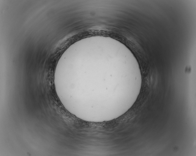 X0000111140870200907211136