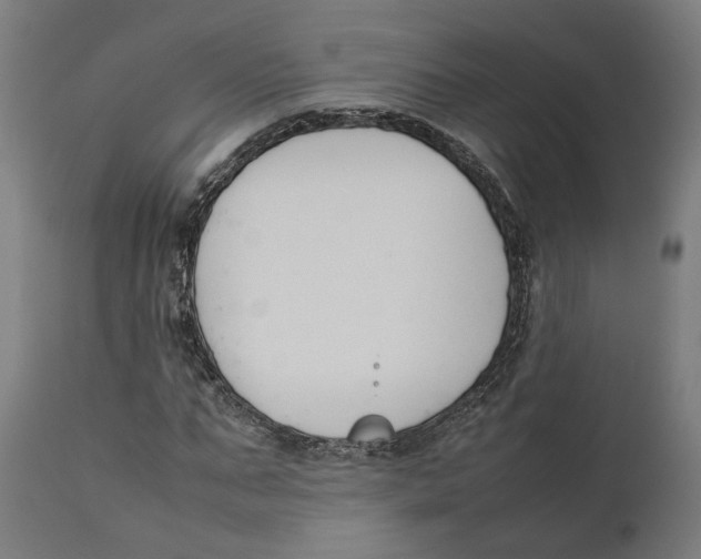 X0000111140871200907211136