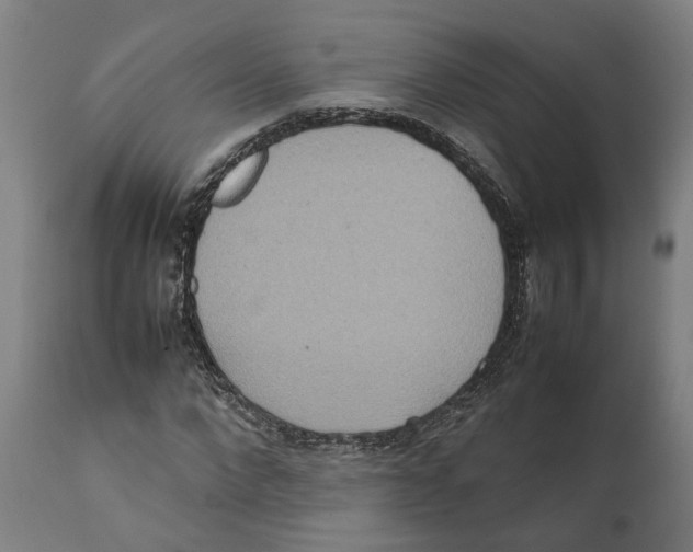 X0000111140872200907211136