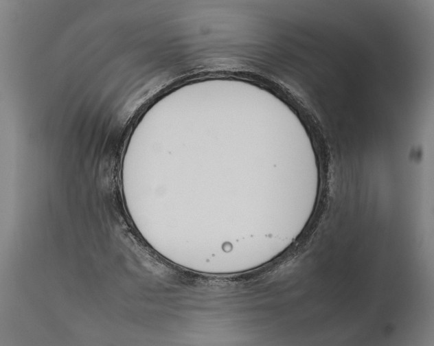 X0000111140873200907211136