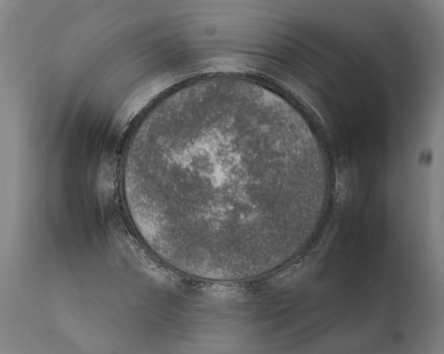 X0000111140874200907211136