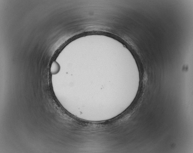 X0000111140877200907211136