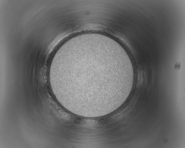 X0000111140878200907211136