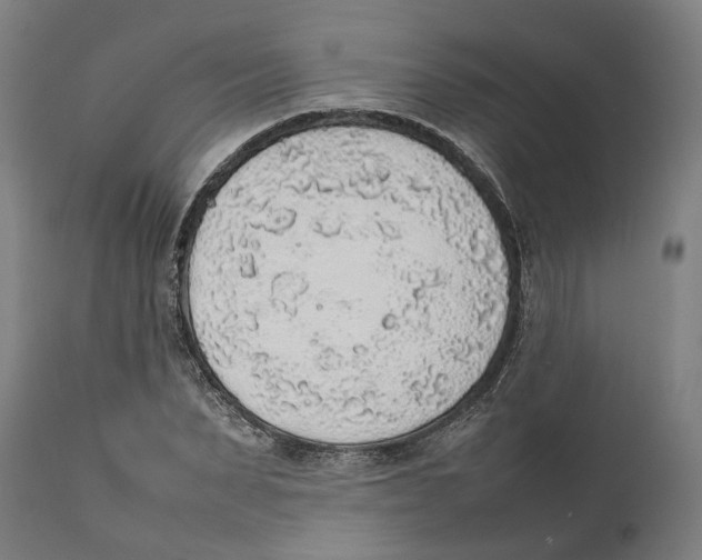 X0000111140879200907211136