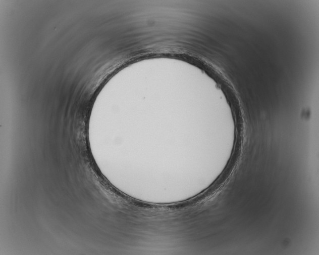 X0000111140881200907211136