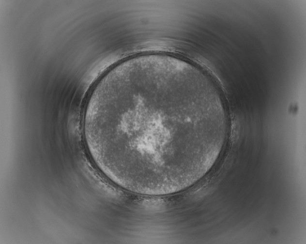 X0000111140882200907211136