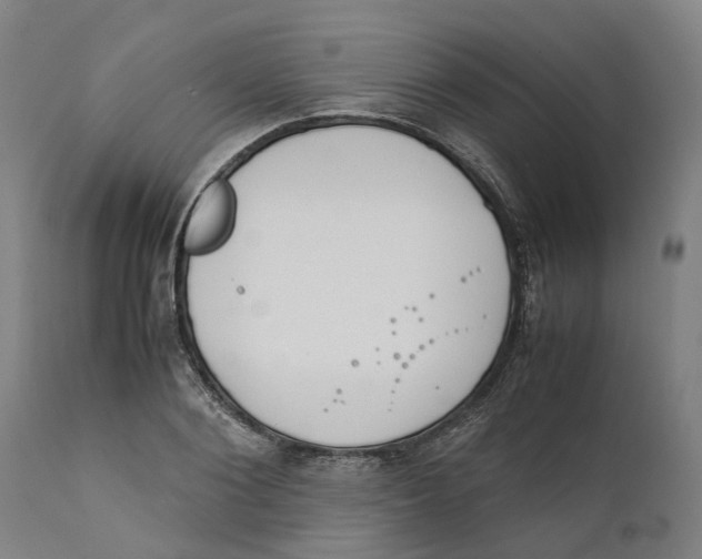 X0000111140884200907211136