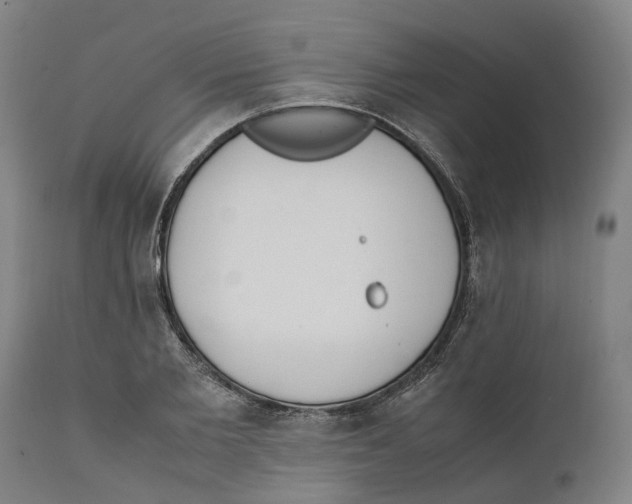 X0000111140885200907211136