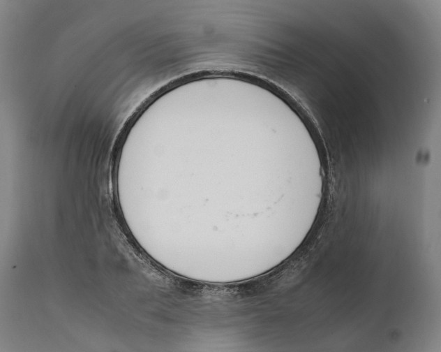 X0000111140887200907211136