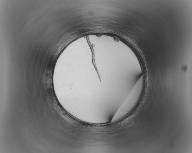 X0000111140889200907211136