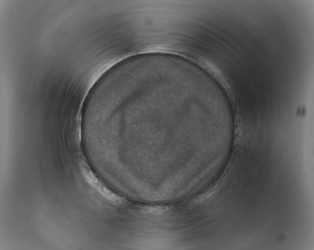 X0000111140892200907211136