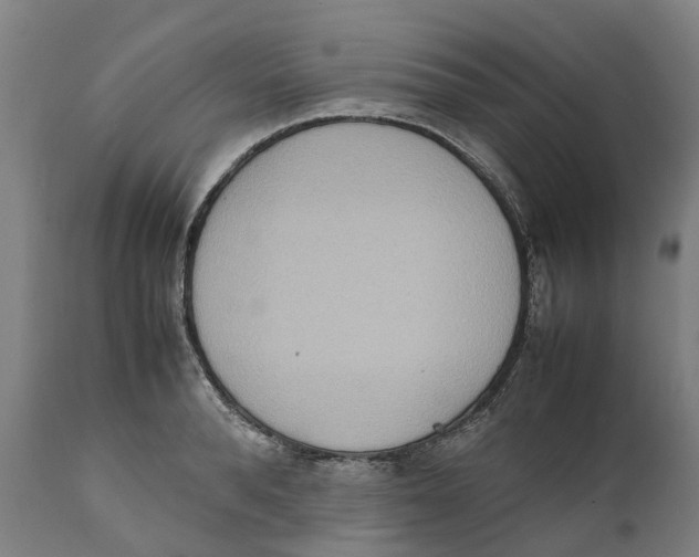 X0000111140896200907211136