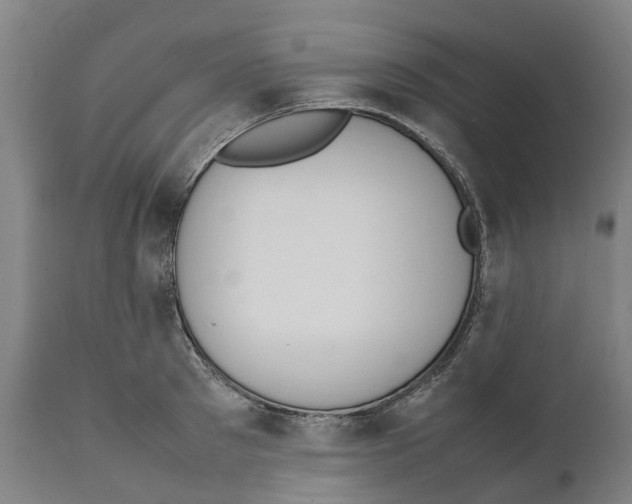 X0000111140897200907211136