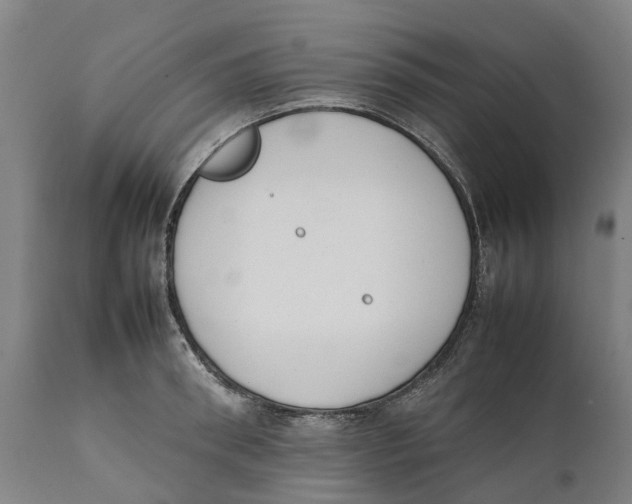 X0000111140898200907211136