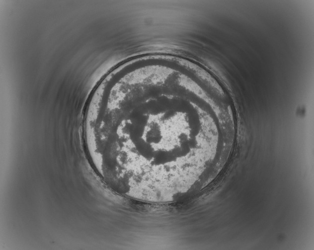 X0000111140899200907211136