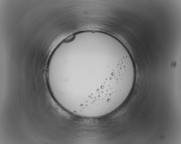 X0000111140901200907211136