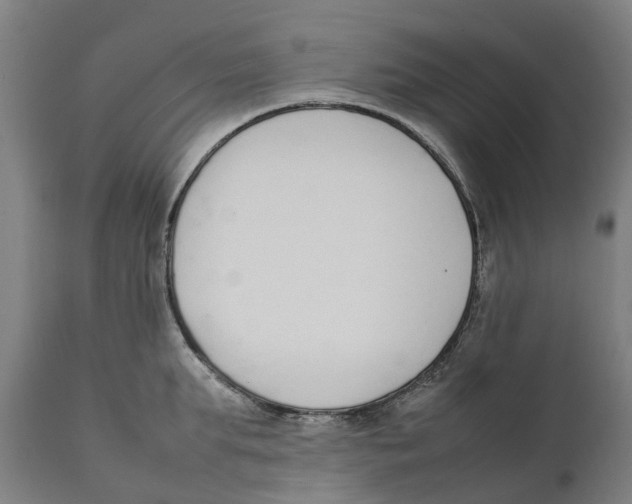 X0000111140903200907211136