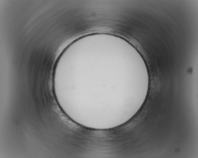 X0000111140904200907211136