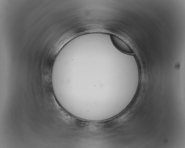 X0000111140905200907211136