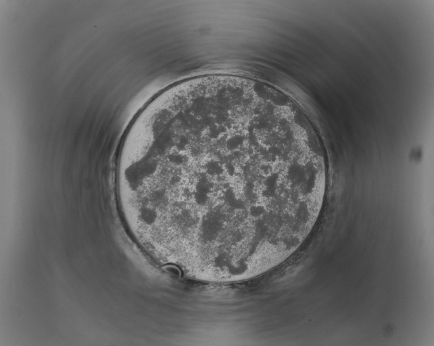 X0000111140907200907211136