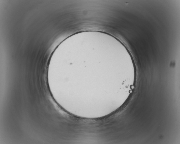 X0000111140909200907211136