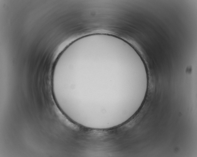 X0000111140910200907211136