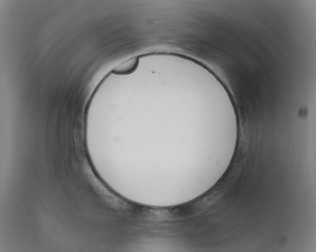 X0000111140911200907211135