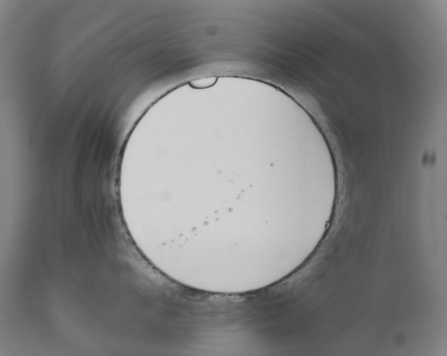 X0000111140912200907211135