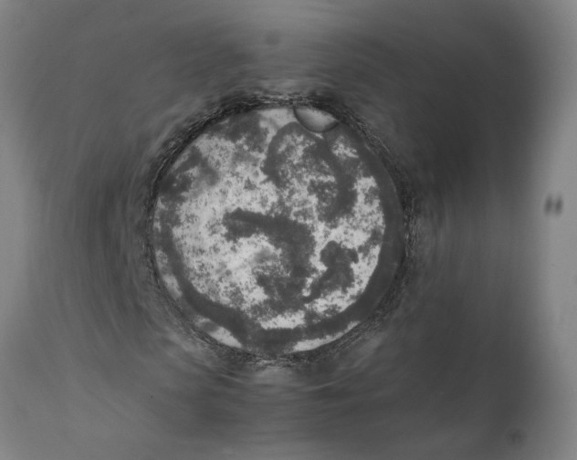 X0000111140913200907211135