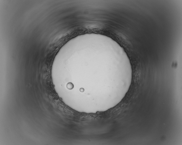 X0000111140917200907211135