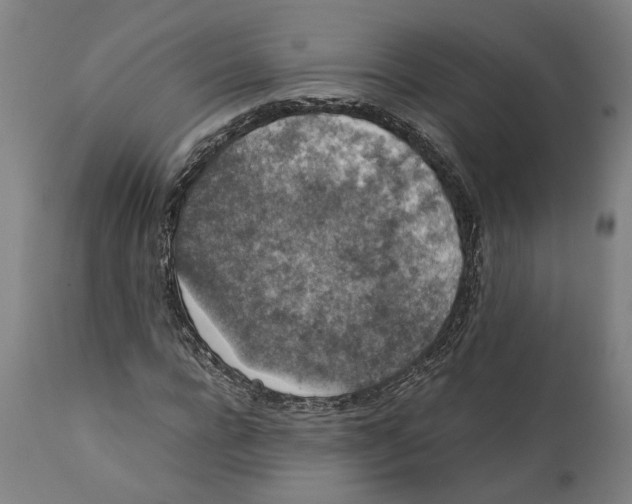 X0000111140920200907211135